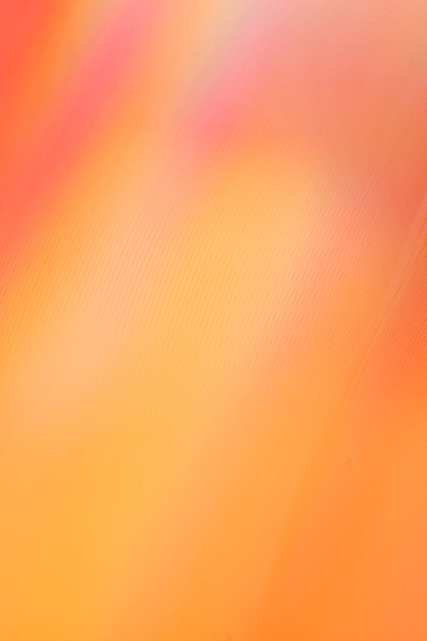 bc28f0d5eca255d6e8d213ce067c7453